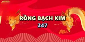 Rồng Bạch kim 247